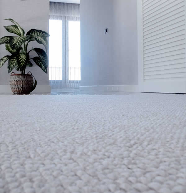 Carpet Cleaning Services